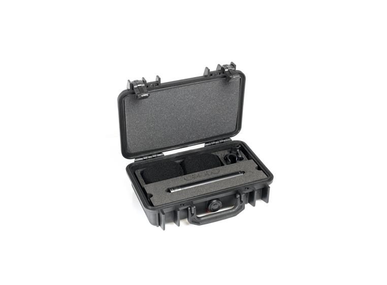 DPA d:dicate 4015A Stereo Pair with 2x4015A, Clips, Windscreens in Peli Case